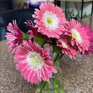 Meet your Posher, Kerrie